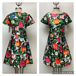 Adrianna papell multi color short sleeves midi dress